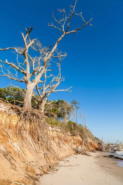 Beach erosion — Stock Photo, Image