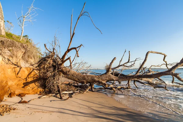 Plaża erozji — Zdjęcie stockowe