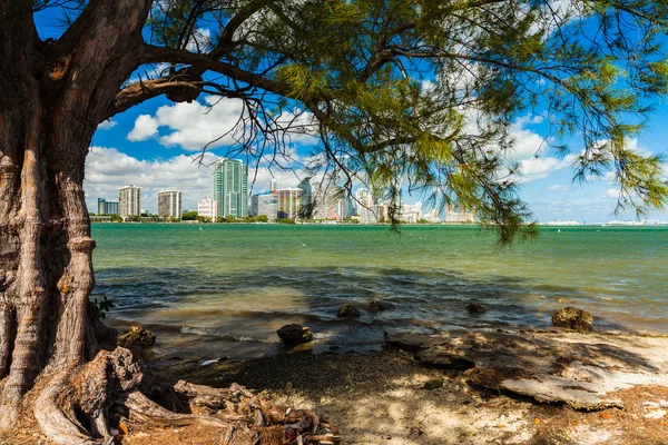 Skyline de Miami — Foto de Stock