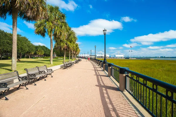 Charleston park — Stockfoto