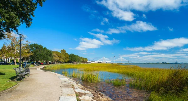 Charleston park — Stockfoto