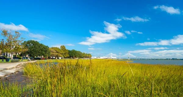 Charleston park — Stockfoto