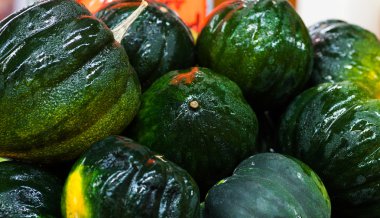 meşe palamudu kabak