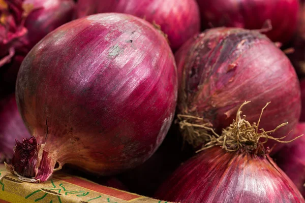 Fresh Red Onions — Stock Photo, Image