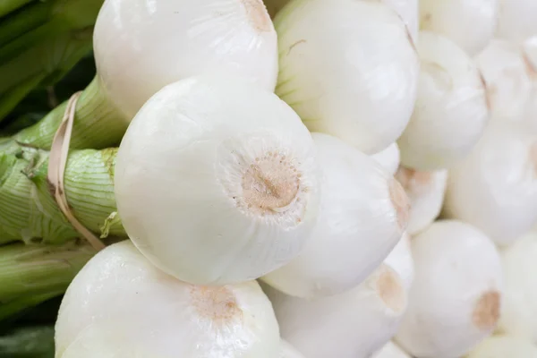 Fresh Onions — Stock Photo, Image