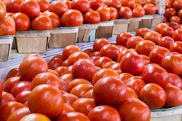 Tomates — Fotografia de Stock