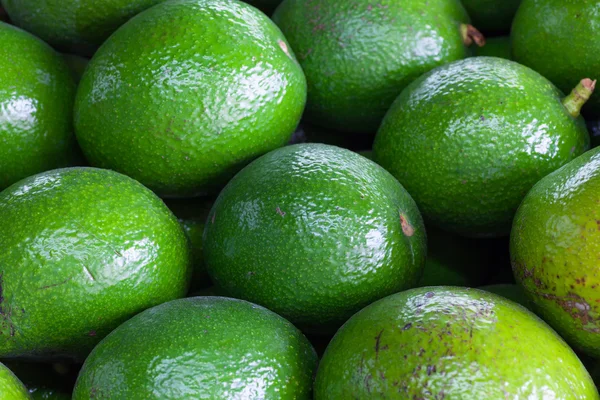 Aguacate — Foto de Stock