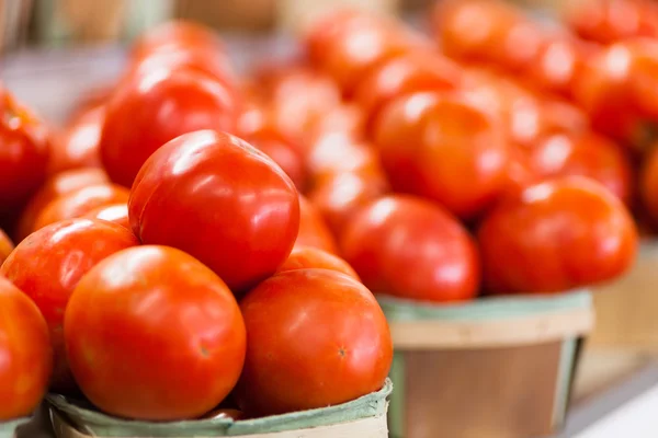 Tomates frescos —  Fotos de Stock