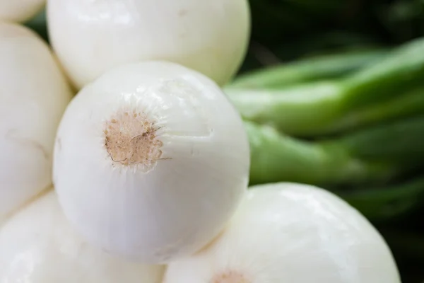 Fresh Onions — Stock Photo, Image