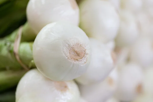 Fresh Onions — Stock Photo, Image