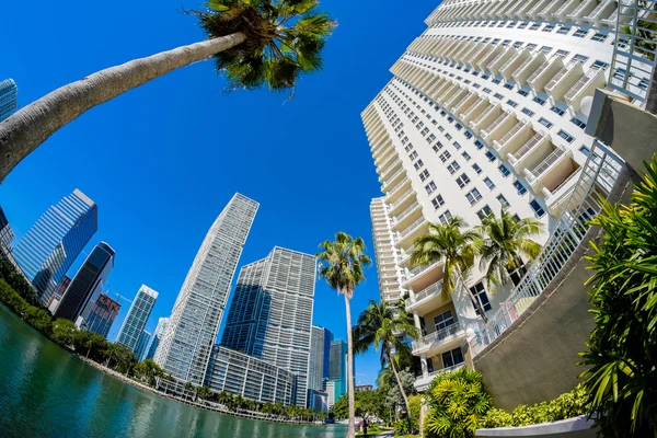 Centro de Miami — Fotografia de Stock