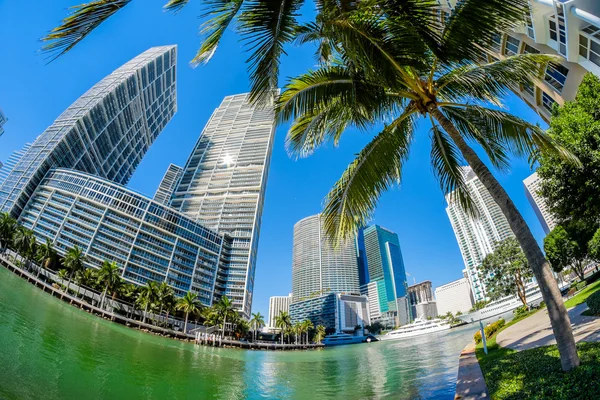 Downtown Miami — Stockfoto