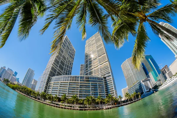 Miami belvárosa — Stock Fotó