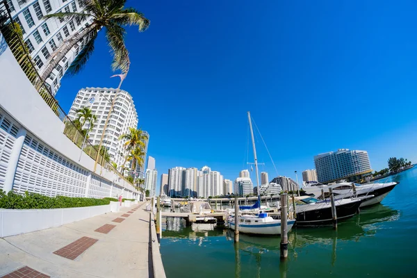 Sentrum av Miami – stockfoto