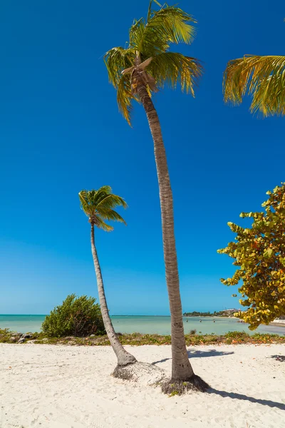 Key West — Stock fotografie