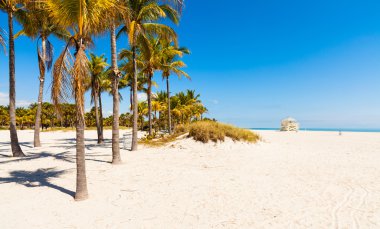Crandon Park Beach