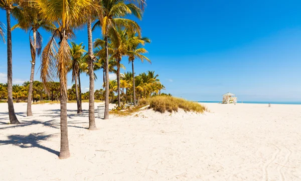 Crandon park spiaggia — Foto Stock