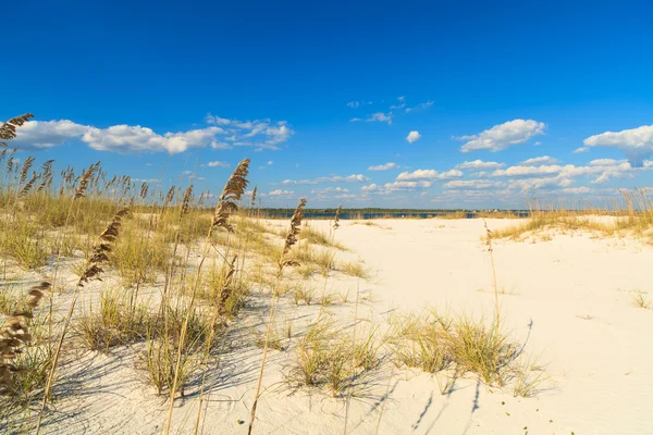 Bella spiaggia — Foto Stock