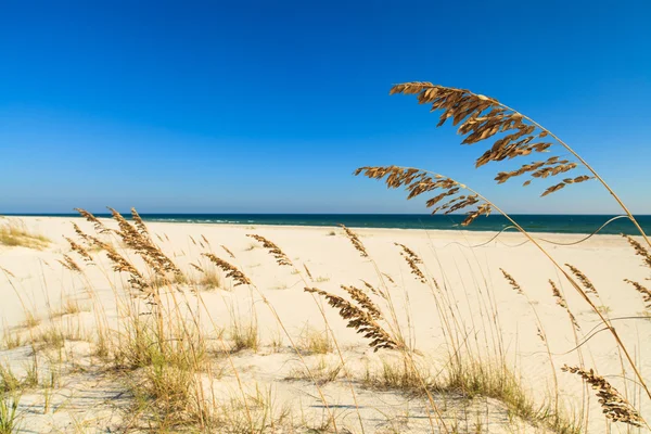 Schöner Strand — Stockfoto