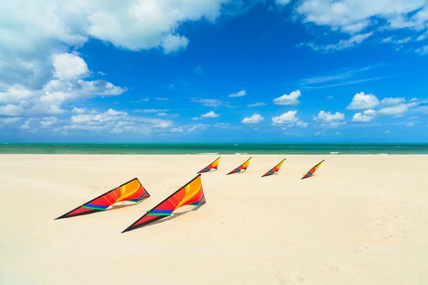 海滩放风筝 — 图库照片