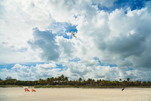 Kite vliegen — Stockfoto