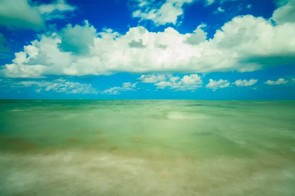 Crandon Park Beach — Stock Photo, Image