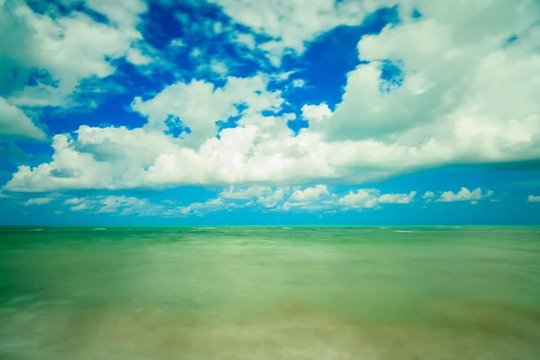 Crandon park spiaggia — Foto Stock