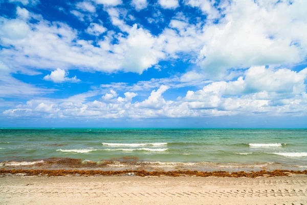 Crandon Park Beach — Zdjęcie stockowe