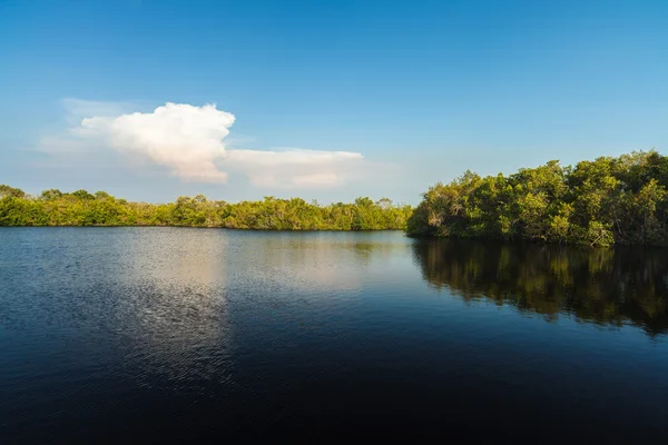 Florida Everglades — Stock fotografie