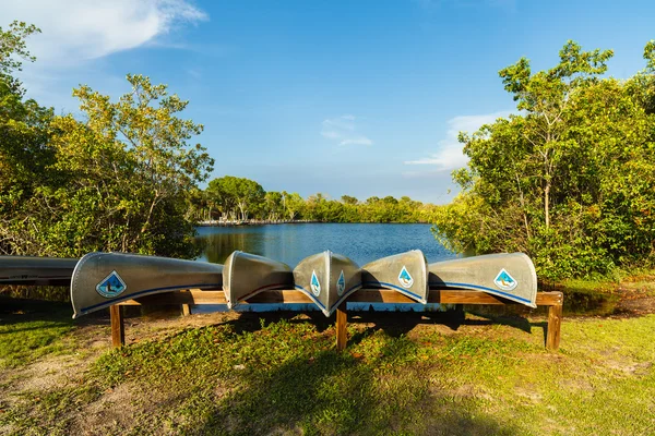 Florida Everglades — Stock Photo, Image