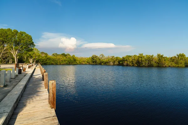 Florida Everglades — Stockfoto
