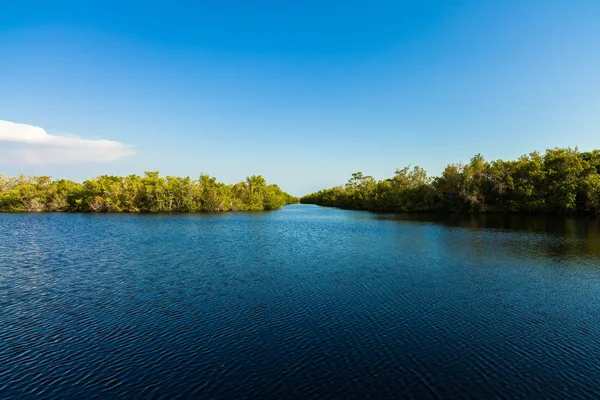 Everglades de Florida — Foto de Stock