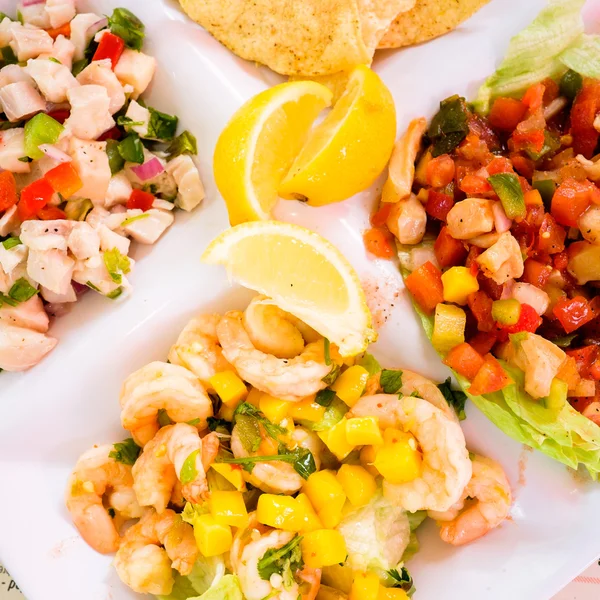 Ceviche — Foto Stock