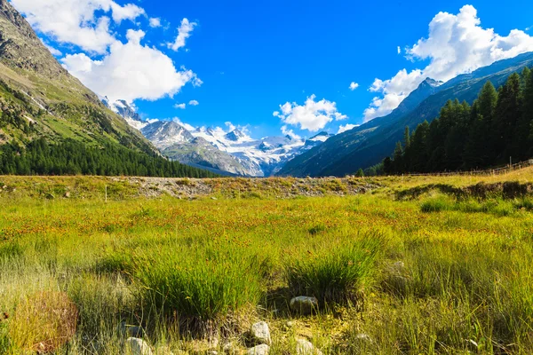 Swiss Mountains — Stock Photo, Image