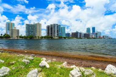 Miami manzarası