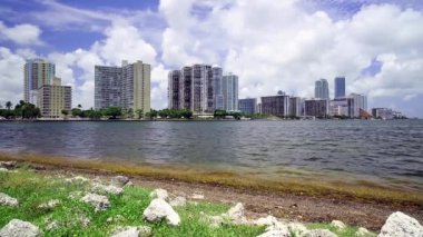 Miami manzarası