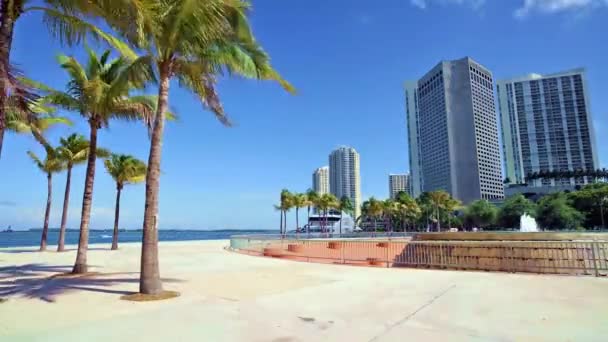 Centro de Miami — Vídeo de stock