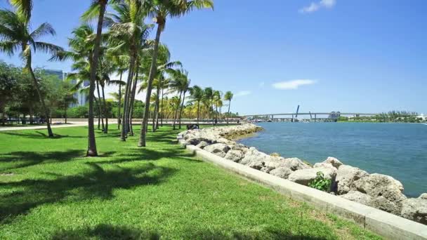 Bayfront Park Miami — Stock Video