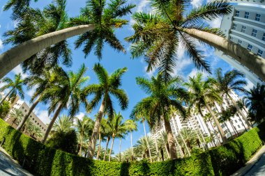 Miami Beach Art Deco