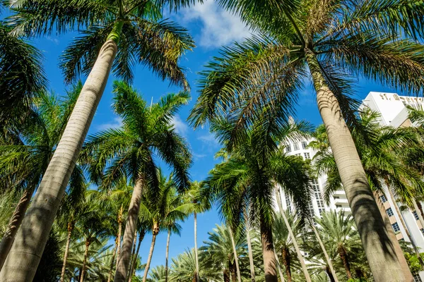 Miami Beach Art Deco — Stock Photo, Image