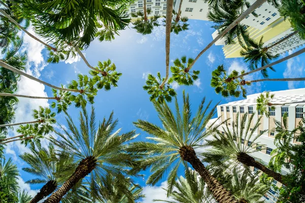 Miami Beach Art Deco — Stock Photo, Image