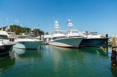 Miami Uluslararası Boat Show