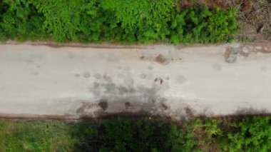  Kırsal kesimdeki toprak yolun havadan görünüşü.