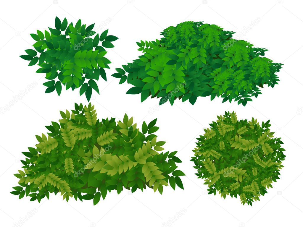Green bush vector on white background.
