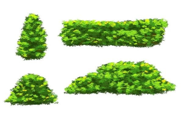Zielony Krzew Ilustracja Izolowana Białym Tle — Zdjęcie stockowe