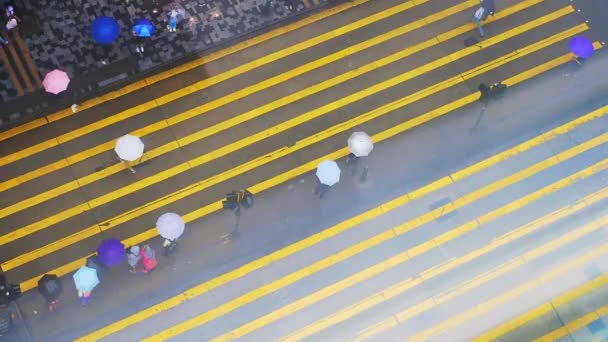 Беспорядок людей переходит дорогу в дождливый день Гонконга. — стоковое видео