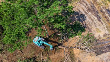 Ormanların yok oluşunun en üst görüntüsü.