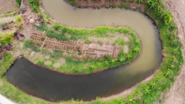 Çiftlikteki muzların havadan görünüşü