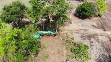 Ormanların yok oluşunun en üst görüntüsü.