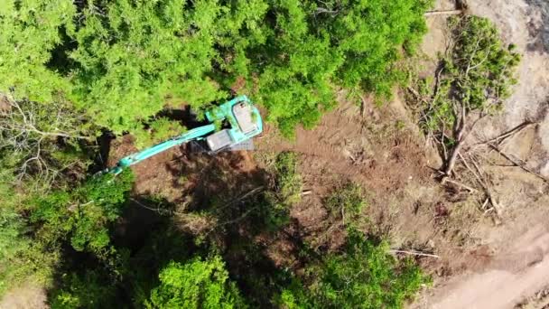 Vista Superior Deforestación — Vídeo de stock